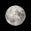 30630387793