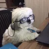 ufantasma