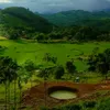 haluan8386