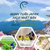 tuantong.japan87