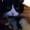 unknouet