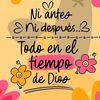 chabelin81