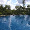 rejianebarcelos