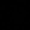 betulsarii29