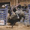 rednecknat450