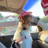 cooper_db