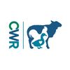 Carolina Waterfowl