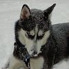 skyymoon