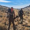 dillon_mcm28