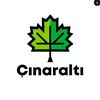 cinaraltindayiz2