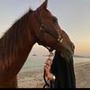 woow_70