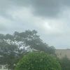 sattam_2601