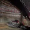 padrick_maler604