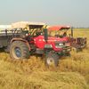 abhijotvirk