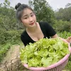 thuybaby120603