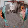 fafafafa4411