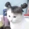 slaygothpurr