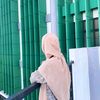 nasi_nsfah