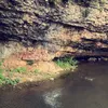 soulimeme