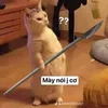 ngoc12345_3