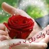 user66035263