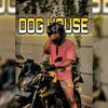 __dog__house__xl