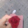 user89175043