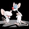 pinkyandthebrain123