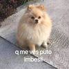diyebu_