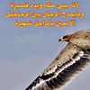 fahad3257