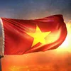 hanhlee198