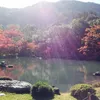 jin_9_