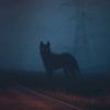 lonelylittlewolf00