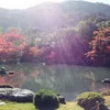 j_in__9