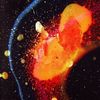 .cosmic66