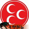 umitonan4