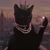 mrsmishkaa