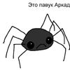 vspiderv