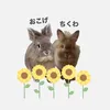 🦁おこげ と ちくわ🐰