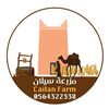 hasanalamri23