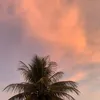_____thay___