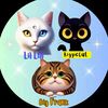 lillian_the_deaf_cat