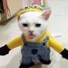 gaolimited