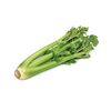 celeryrob