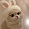 ___lililala__