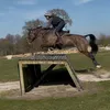 millie_chall