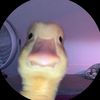 idontevengaftbhlol