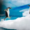 uma_5528