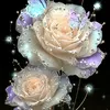 qua.tang.thoi.gian