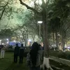 yangthuyy2501